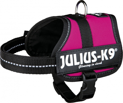 Julius k9 power-harnas / tuig voor labels fuchsia