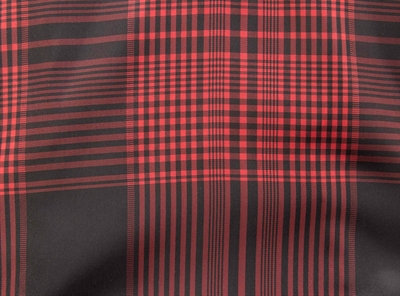 Trixie mackintosh chien vimy rouge