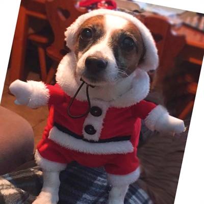 Robe Croci xmas santa