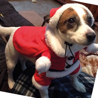 Robe Croci xmas santa