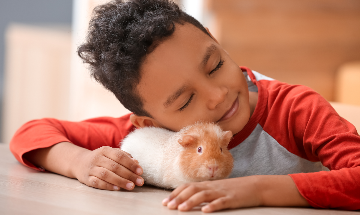 hamster-affectueux Photo d'un rongeur affectueux faisait un câlin à un enfant