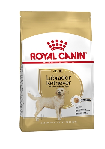 Royal canin labrador retriever adult