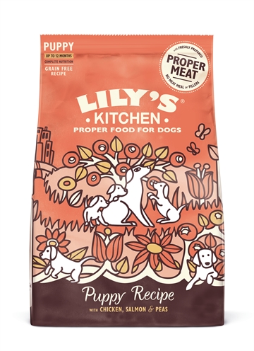 Lily’s kitchen dog puppy chicken / salmon