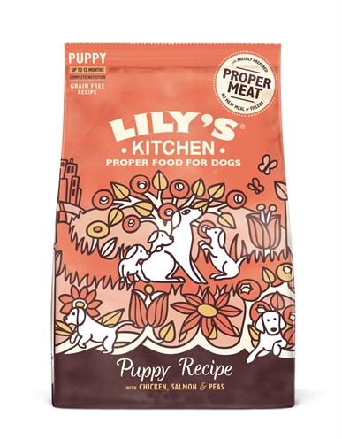 Lily’s kitchen dog puppy chicken / salmon