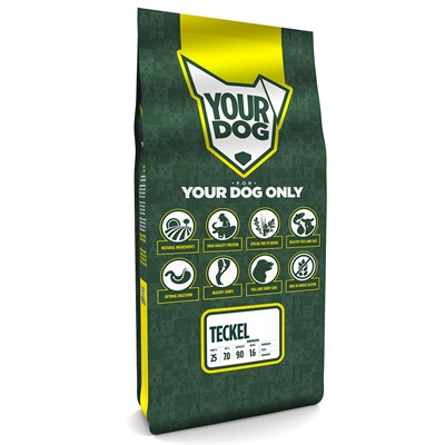 Yourdog teckel senior