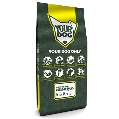 Yourdog grand anglo-franÇais blanc et noir senior