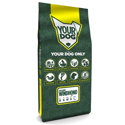 Yourdog italiaanse windhond pup