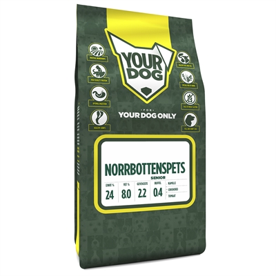 Yourdog norrbottenspets senior