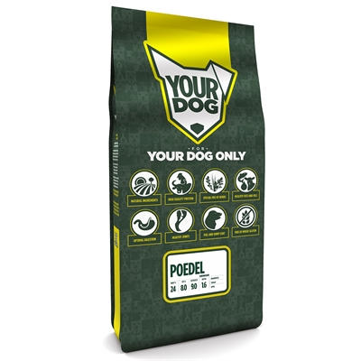 Yourdog poedel senior