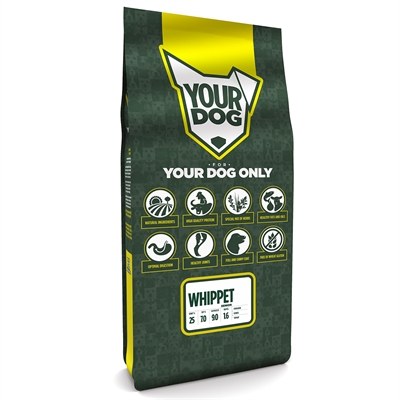 Yourdog whippet senior