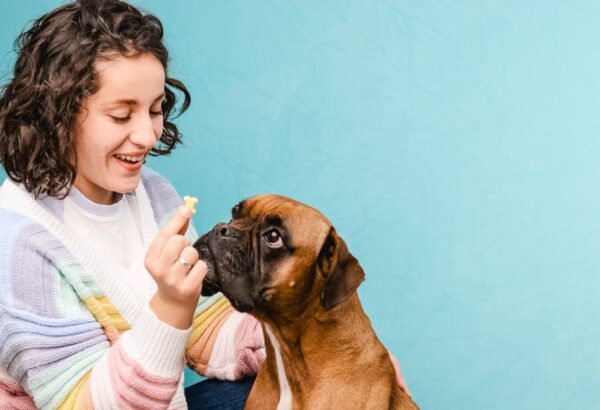Femme donnant une friandise à son boxer