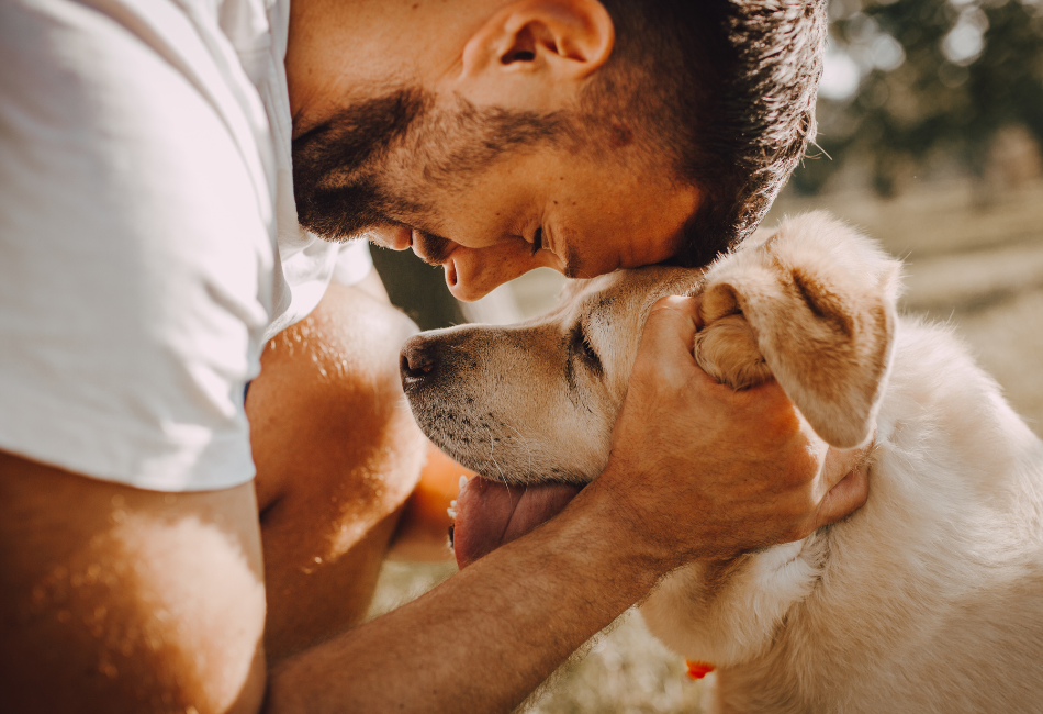 Amitié-entre-homme-et-chien Homme front contre front avec son chien et qui tient sa tête entre les mains