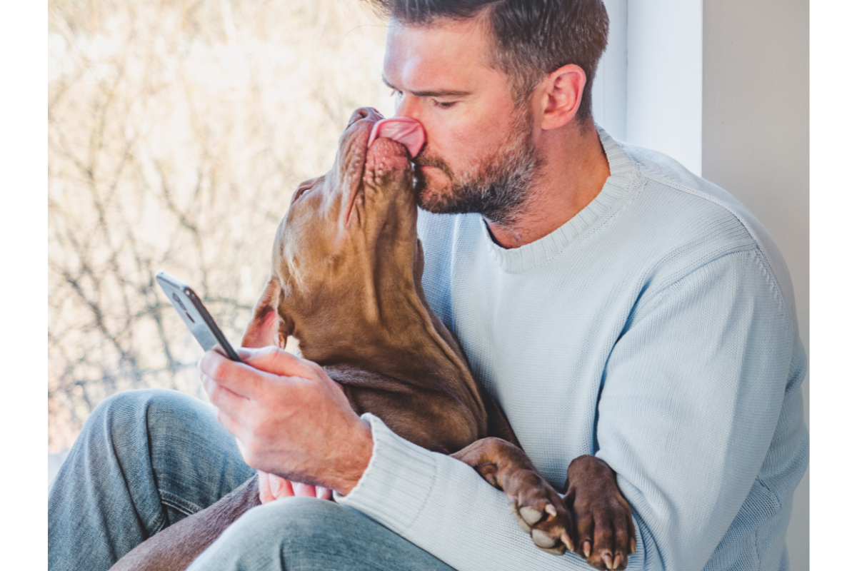 léchage-chien-propriétaire Un chien brun lèche le visage de son maître
