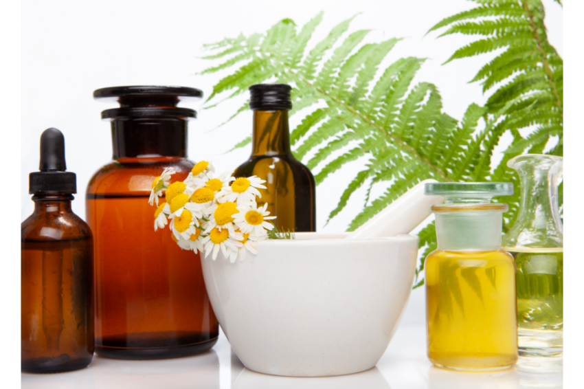 Des huiles différentes avec un bol et une plante verte pour lutter contre la perte des poils chez le chien