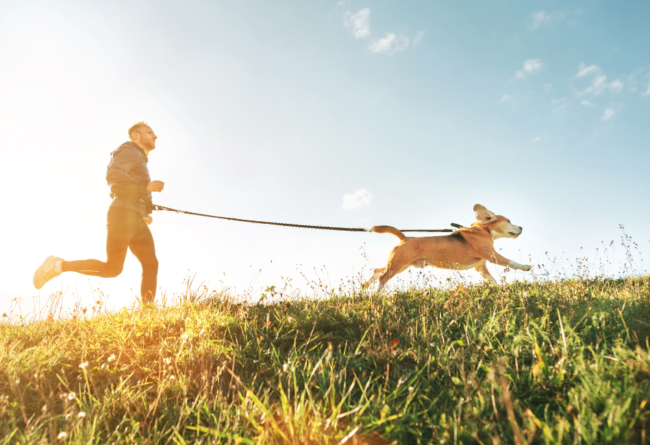 Jogging-chien-maître Homme qui fait du canicross avec son chien tenu en laisse