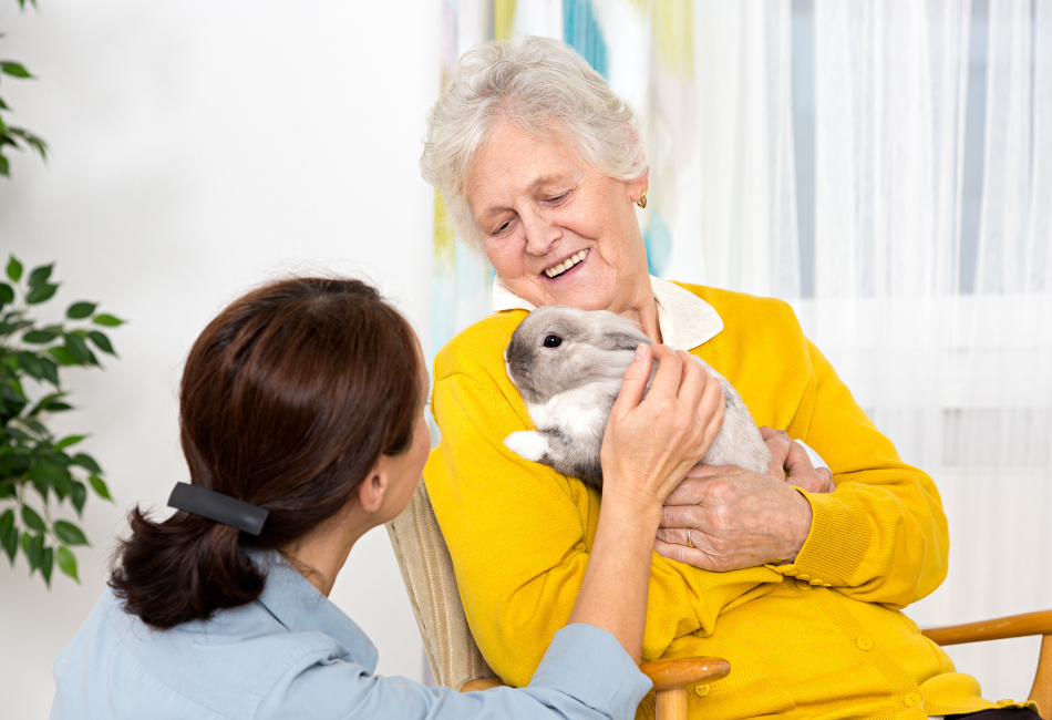 Zoothérapie-animaux-personne-âgée Dame âgée qui tient dans ses mains un lapin qu'une autre dame plus jeune caresse