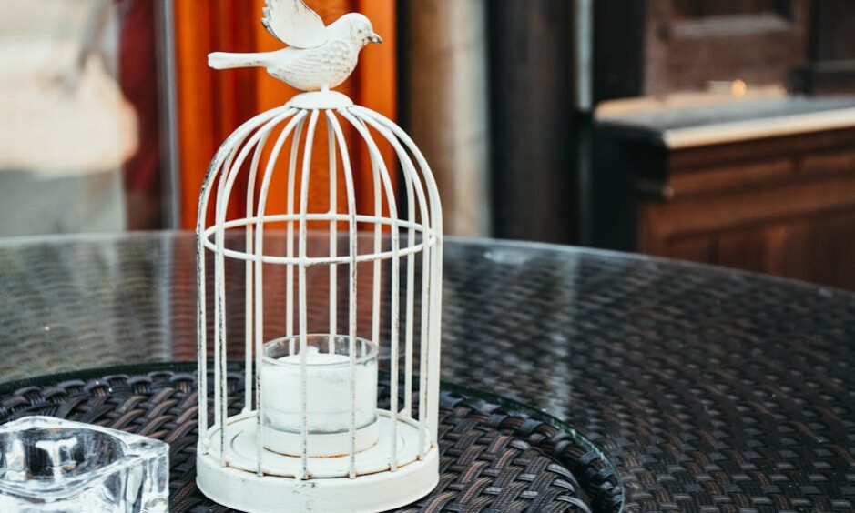 nettoyer cage oiseaux