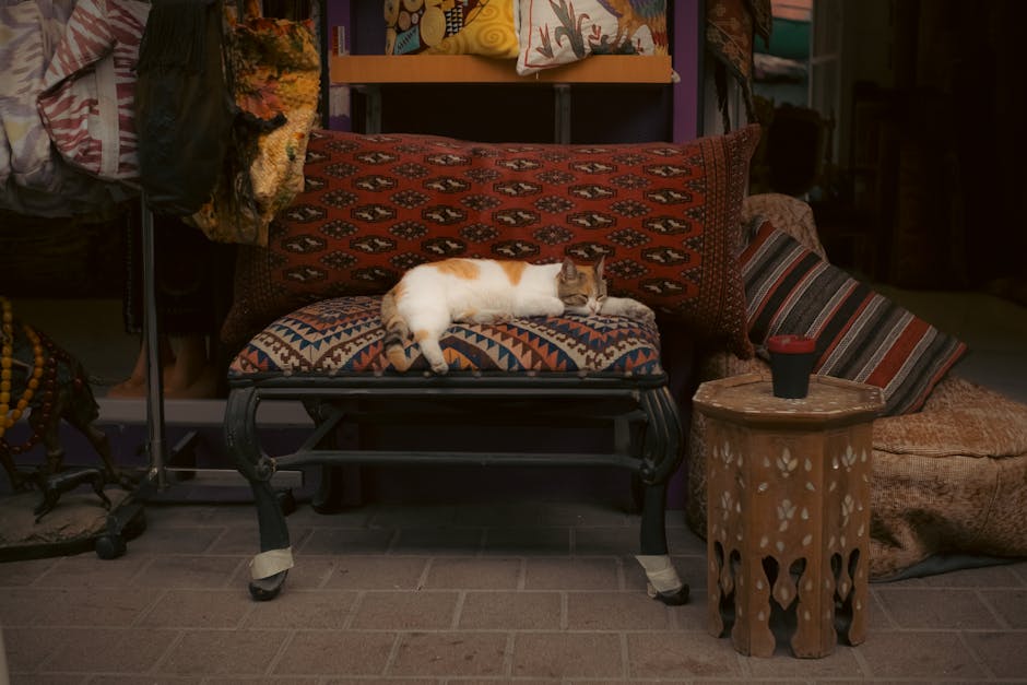 chat-coussin-motifs-orientaux-artisanat Chat allonge sur coussin motifs orientaux boutique artisanat