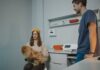 Veterinaire consultation chien clinique soins animaux