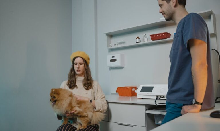 Veterinaire consultation chien clinique soins animaux