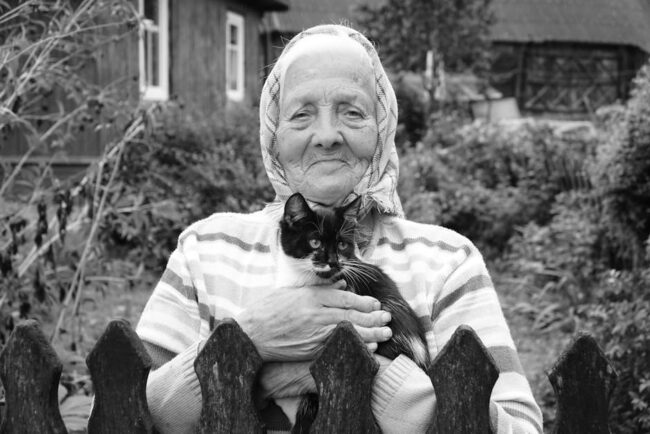 comment savoir l'âge d'un chat