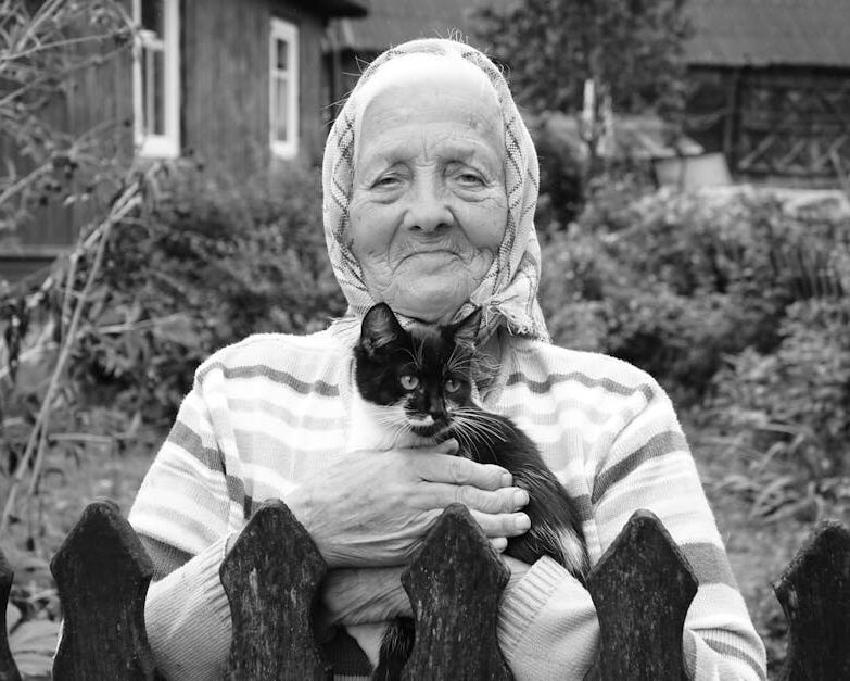 comment savoir l'âge d'un chat