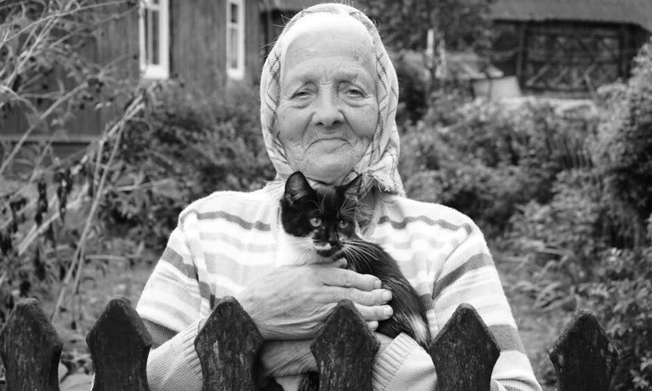 comment savoir l'âge d'un chat